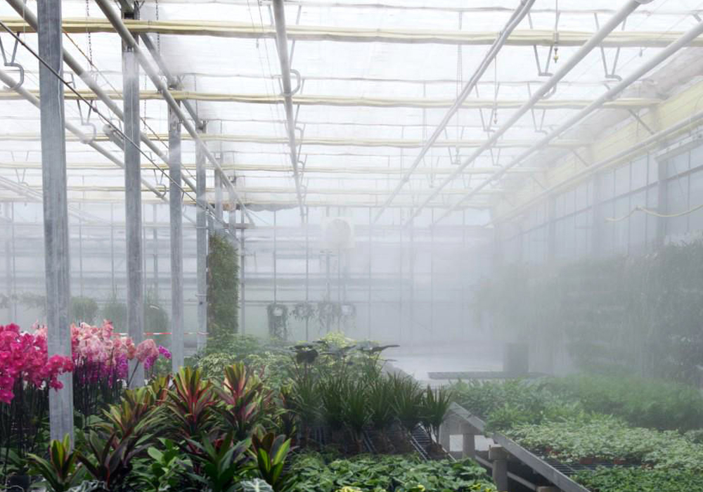Fog Sistemi